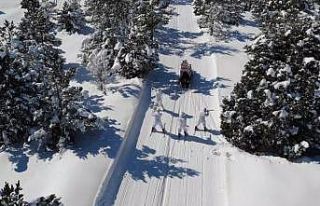 Kayak tutkunlarının güvenliği Mehmetçik’e emanet
