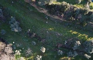 Kaybolan Alzheimer hastasını drone ile buldular