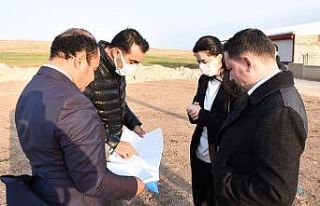 Kaymakam talimat verdi, Nusaybin’e hayvan barınağı...
