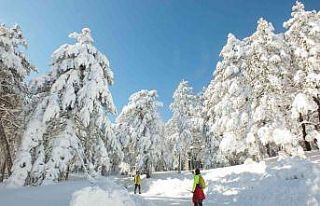Kaz dağlarının beyaz büyüsüne kapıldılar