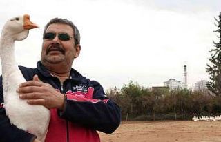 Kazın başkenti Kars’a kaz satıyor