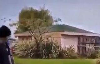 Kedi yavrusuna tekme atan Iraklı gencin 5 yıl hapsi...