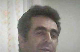 Kestiği ağacın altında kalan adam ağır yaralandı