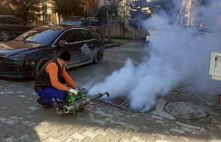 Kilis’te ilaçlama çalışmaları devam ediyor