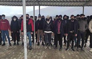 Kırklareli’nde 114 kaçak göçmen yakalandı