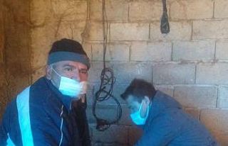 Kırklareli’nde hayvanlarda aşılama başladı