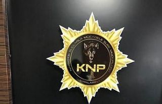 Kırklareli’nde uyuşturucu ve hırsızlık operasyonu:...