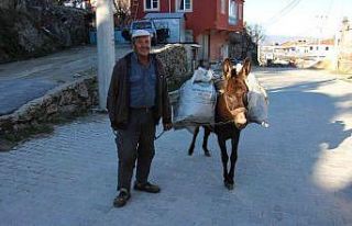 Kırsaldaki yük hayvanları kıymete bindi