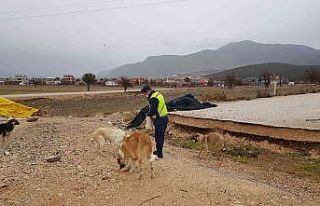 Kokuteli’de jandarmadan anlamlı davranış