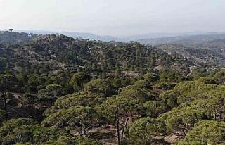 Komando eğitimi için değil, ekmek parası için...