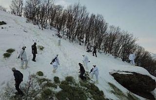 Komandolar yaban hayvanlarını unutmadı, doğaya...