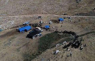 Konyaaltı, hayvancılıktaki uygulamalarıyla Türkiye’ye...