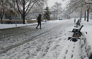 Konya’da kar yağışı yeniden başladı