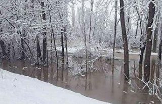 Konya’da tarım arazilerinde su baskını