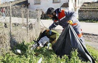 Körfez’de temizlik çalışmaları sürüyor