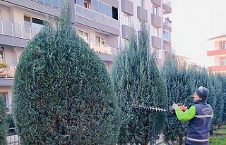 Körfez’de yeşil alanlar bakımdan geçiyor