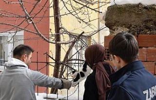 Korkuluğa saplanan kediyi belediye ekipleri kurtardı