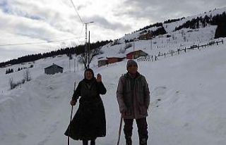 Korona virüs nedeniyle yayladan hiç inmediler