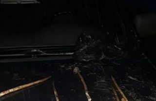 Koruma altındaki ökse ardıç kuşu avlayan şahsa...