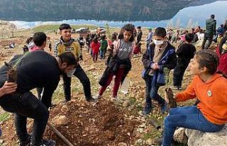 ‘Köyümüz fidanla yeşilleniyor’