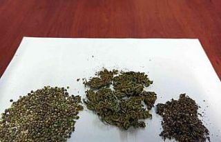 Kullandıkları uyuşturucuyu araziye attılar, jandarmadan...