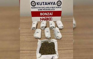 Kütahya’da bir şahsın üzerinde bonzai ele geçirildi