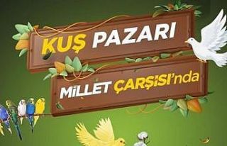 Manisa’da kuş pazarı kurulacak