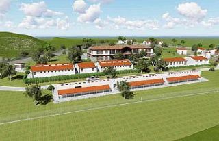 Manisa’da sokak hayvanları doğal yaşam parkında...