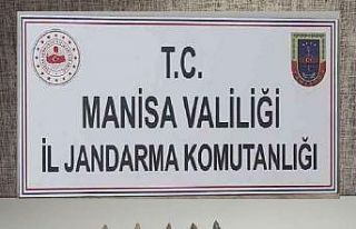 Manisa’da Tunç Çağı’na ait 11 adet mızrak...