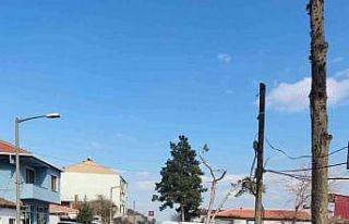 Manyas’ta trafik kazası 1 ağır yaralı