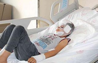 Mardin’de sokak köpeklerinin saldırısına uğrayan...