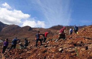 Marmaris’te gönüllüler fidan ve tohum dikimlerine...