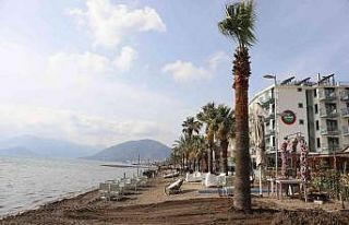 Marmaris’te sahili palmiyeler kaplayacak