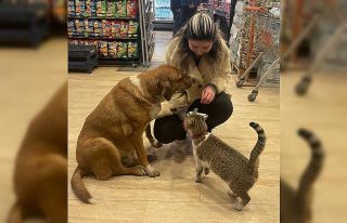 Mazlum ile Boncuk’un dostluğu