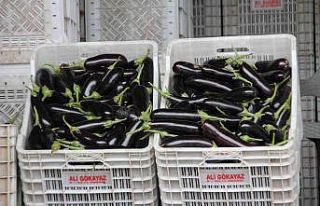 Mersin ve Adana’nın ocak ayı enflasyonu yüzde...