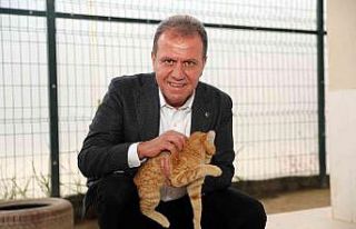 Mersin’de ocak ayında 101 tehlike arz eden ırk...