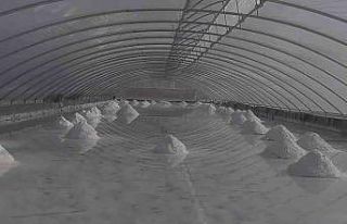 Mineral deposu ’Delice tuzu’ coğrafi işaret...