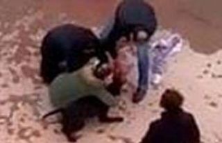 Minik Asiye’nin pitbull saldırısına uğramasına...