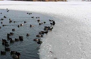 Mogan Gölü’nde kartpostallık görüntüler oluştu