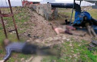 MSB’den Yunanistan sınırında donarak vefat eden...