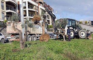 Mudanya, kapalı pazar yerine kavuşuyor