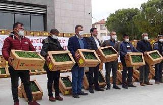 Muğla’da Nisan sonuna kadar 1 milyon 900 bin fide...