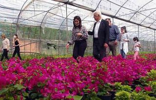 Muğla’da üretilen çiçekler 25 ilin sokaklarını...