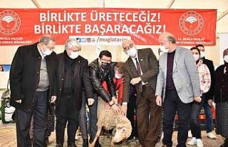 Muğla’ya ETAP Projesi kapsamında 20 milyonluk...