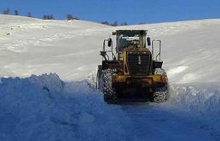 Muş’ta 35 köy yolu ulaşıma kapandı