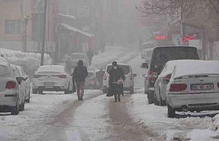 Muş’ta 37 köy yolu ulaşıma kapandı