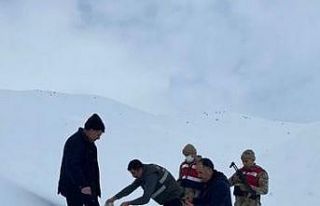 Muş’ta yaban hayvanlarına yem desteği