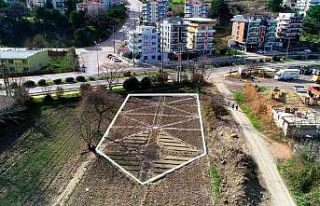 Mustafakemalpaşa aromatik bitkiler bölgesi oluyor