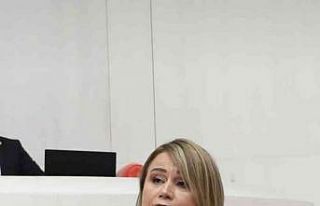 Mutlu Aydemir’e TBMM ‘de yeni görev