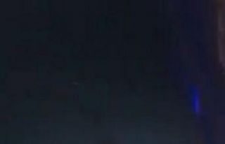 Nesli tükenen su samuru Kastamonu’da görüldü